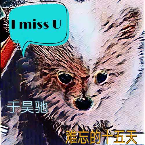难忘的十五天