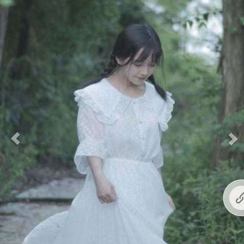 雉燃的轻声歌唱