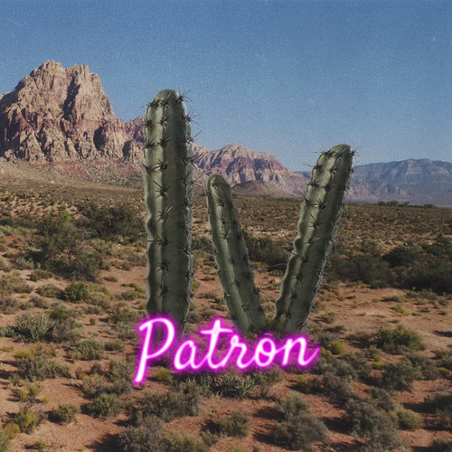 Patrón