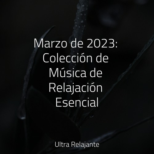 Marzo de 2023: Colección de Música de Relajación Esencial