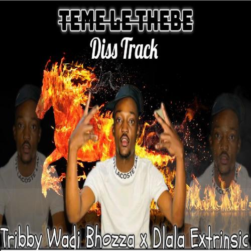Teme Le Thebe (feat. Tribby Wadi Bhozza)