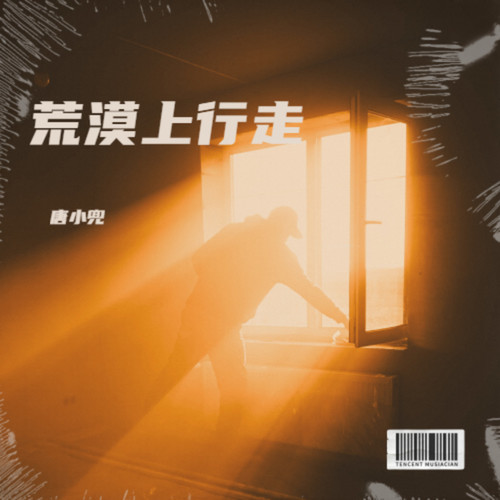荒漠上行走