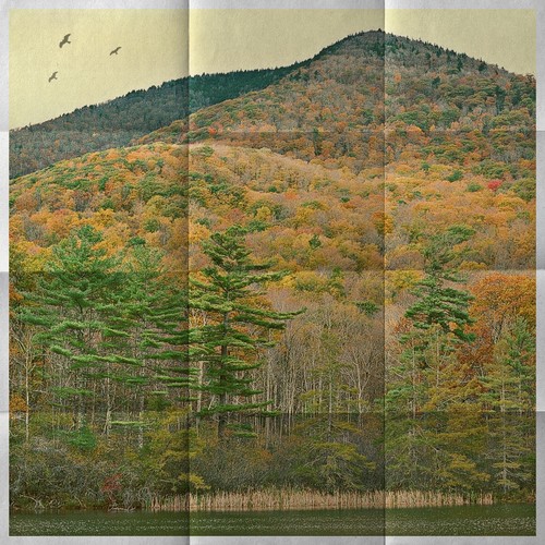 Another Year (Slowed + Reverb)