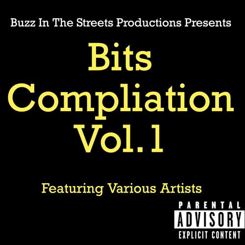 Bits Compliation, Vol. 1 (Explicit)
