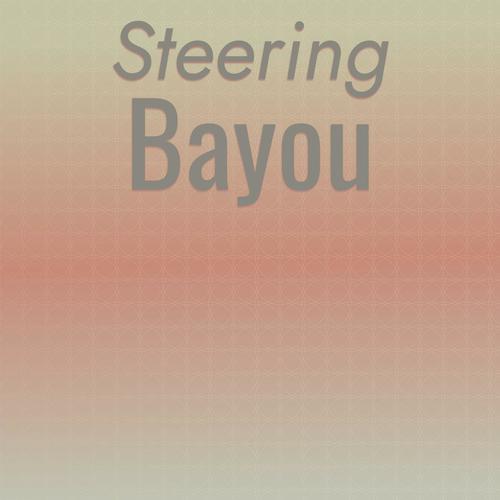 Steering Bayou