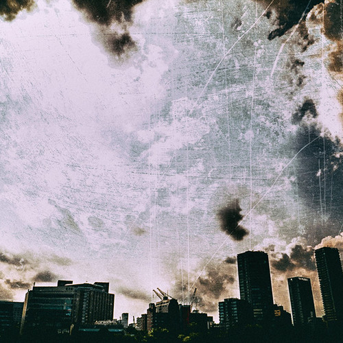 Brand New Day(カバー)