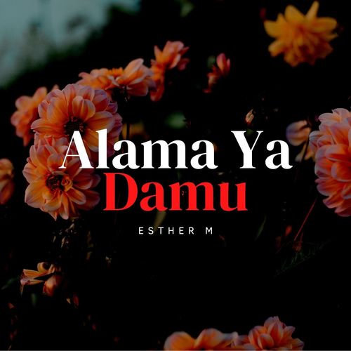 Alama Ya Damu