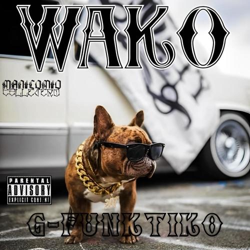 G-FUNKTIKO (Explicit)