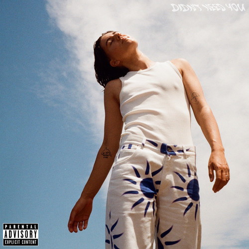 Didn't Need You (Explicit)