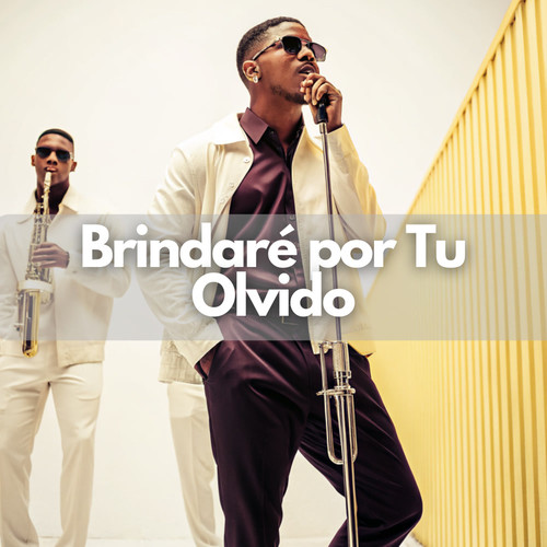 Brindaré por Tu Olvido