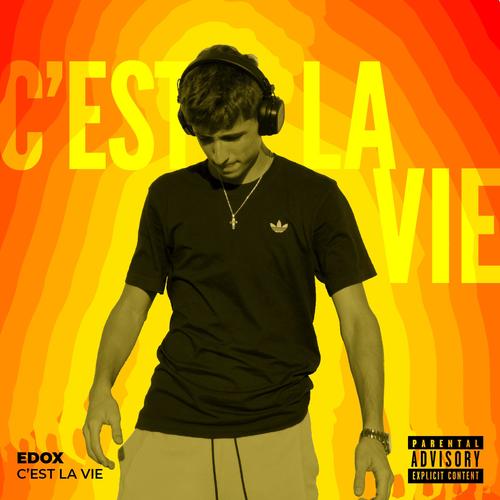 C'EST LA VIE RMX (Explicit)