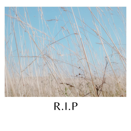 R.I.P (Explicit)