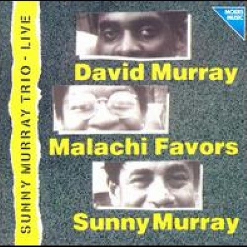 Live at Moers Festival