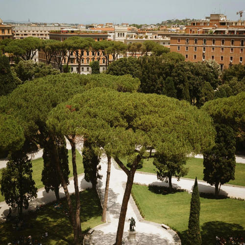 The Lives We Borrowed