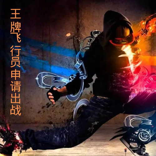 王牌飞行员申请出战