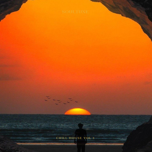 Chill house Vol 3