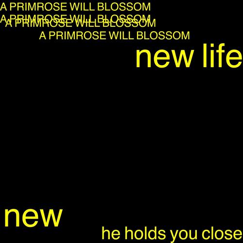 he holds you close (Explicit)