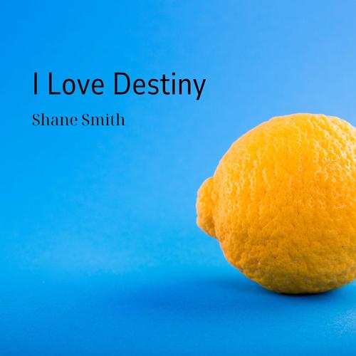 I Love Destiny