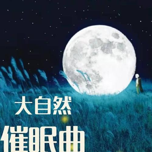 舒缓白噪音 | 感受大自然的馈赠