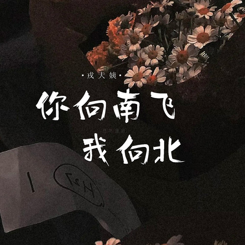你向南飞 我向北