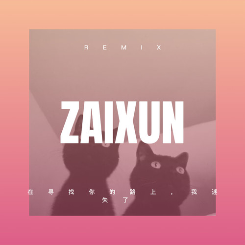 在寻找你的路上，我迷失了