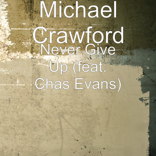 Never Give up (feat. Chas Evans)