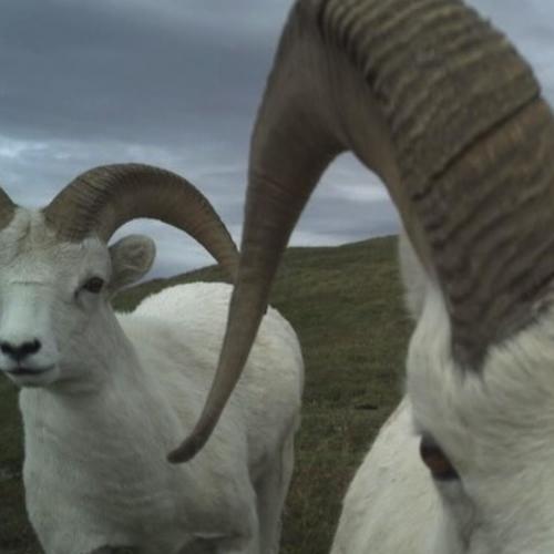 No More Hiding (Explicit)