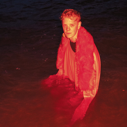 Atlanta Airport Medium Raw Dog