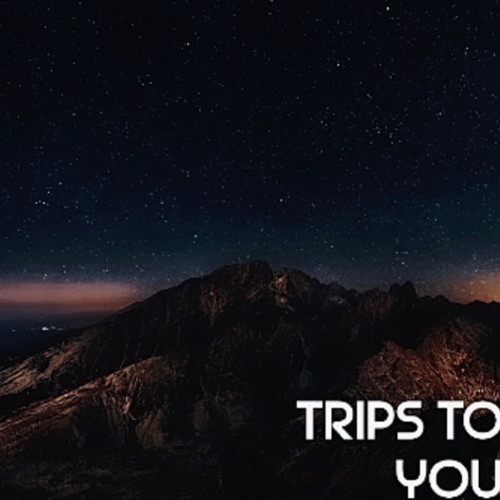 Trips To You