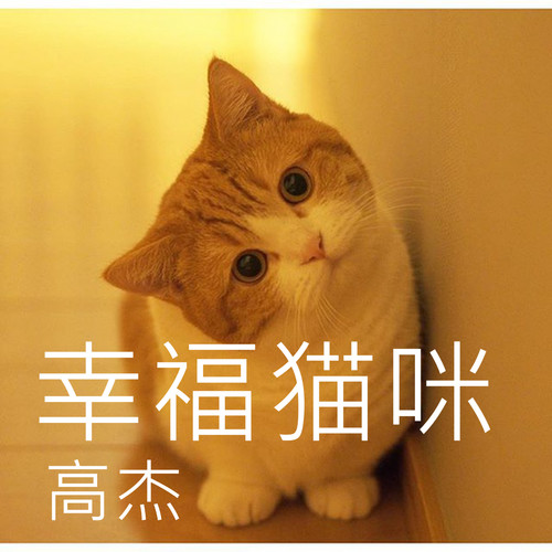 幸福猫咪