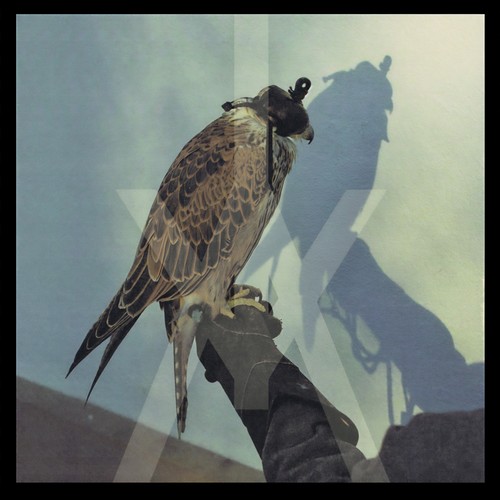 You're Nothing + 3 (Deluxe)