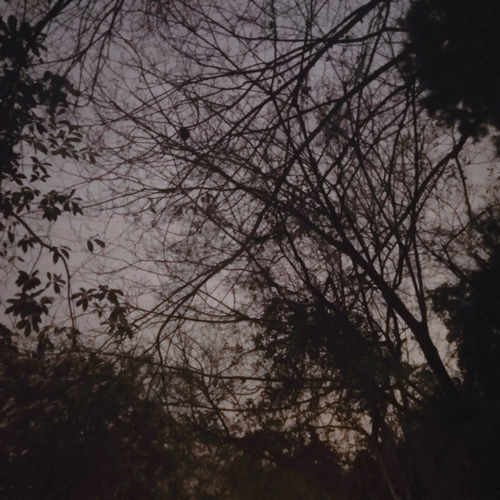 给婷婷老师的歌