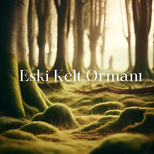 Eski Kelt Ormanı