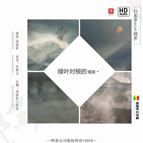 绿叶对根的情意