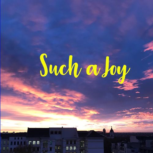 Such a Joy