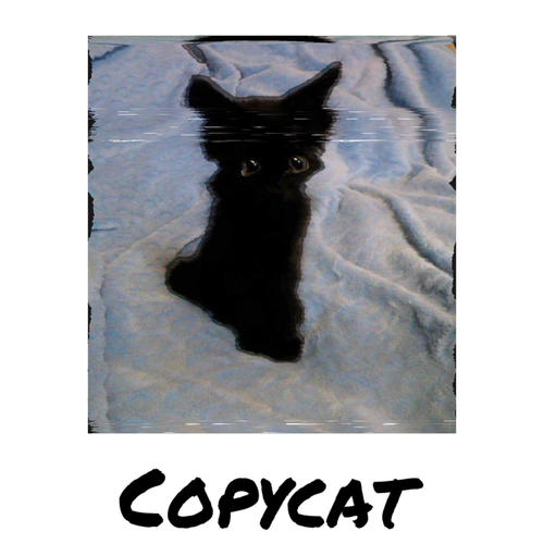 Copy cat (Explicit)