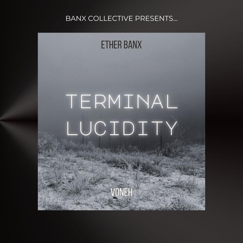 Terminal Lucidity (feat. Voneh) [Explicit]