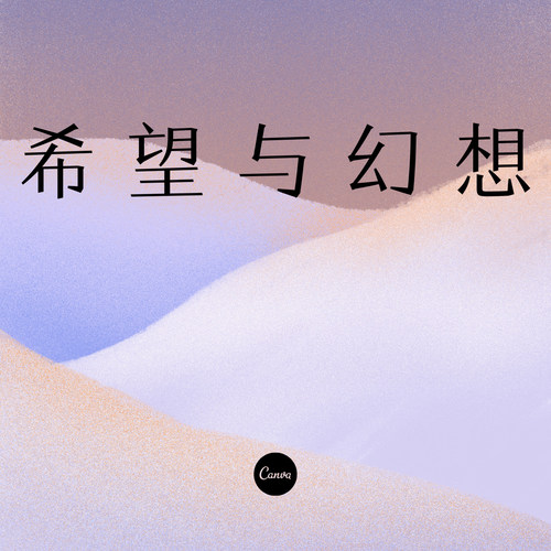 希望与幻象（DJ）