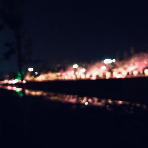 活在没有冬天的鹿城
