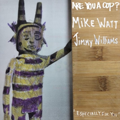 Especially for You (feat. Mike Watt & Jimmy Williams)