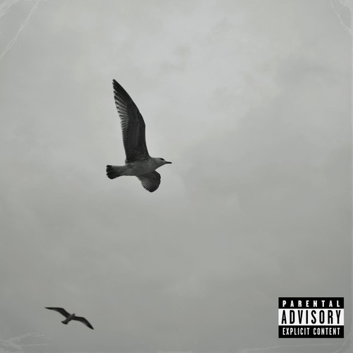 Sophomore Season (Explicit)