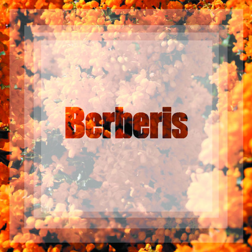 Impressive Speech EP