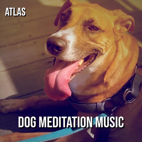 Dog Meditation Music