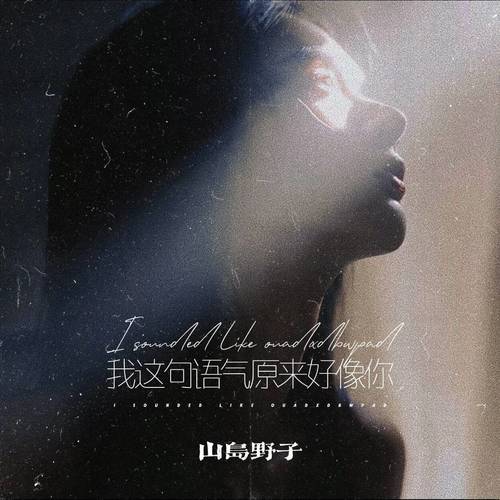 我这句语气原来好像你 (遗憾版)