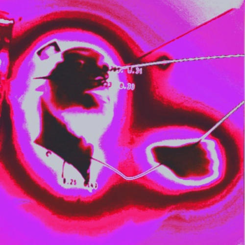 #stopbreathing (Explicit)