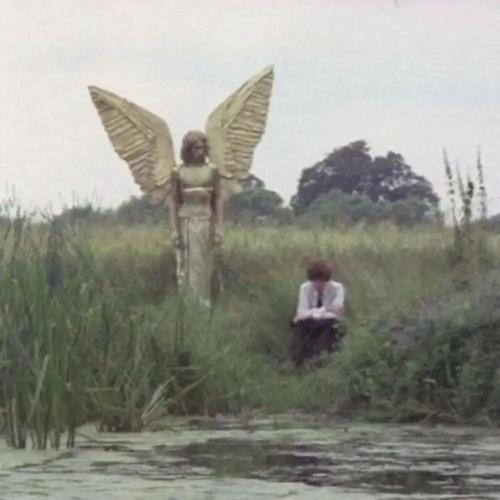 let the birds out (Explicit)