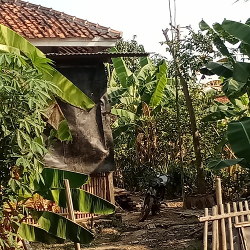 Bukan lelaki yang kau harapkan