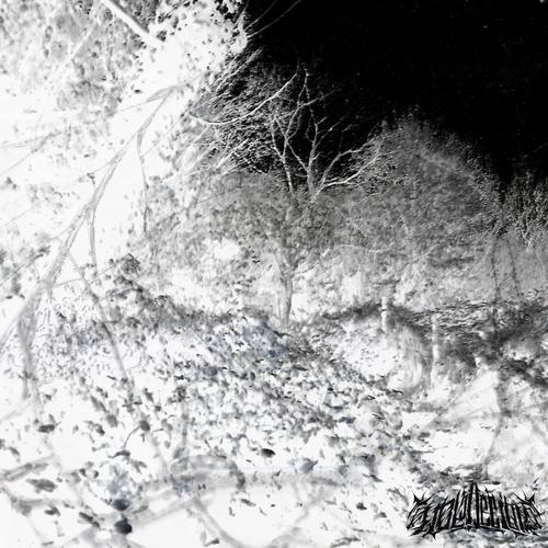 IPOCRISIA (feat. mánagarmr & behrit) [Explicit]