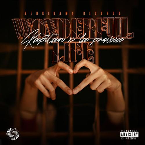 Wonderful Life (Explicit)