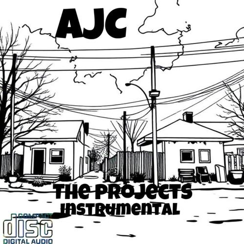 The projects